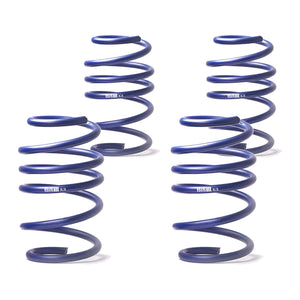 H&R Sænkningssæt Mercedes E-classe (W114/W115) – produktbillede 2