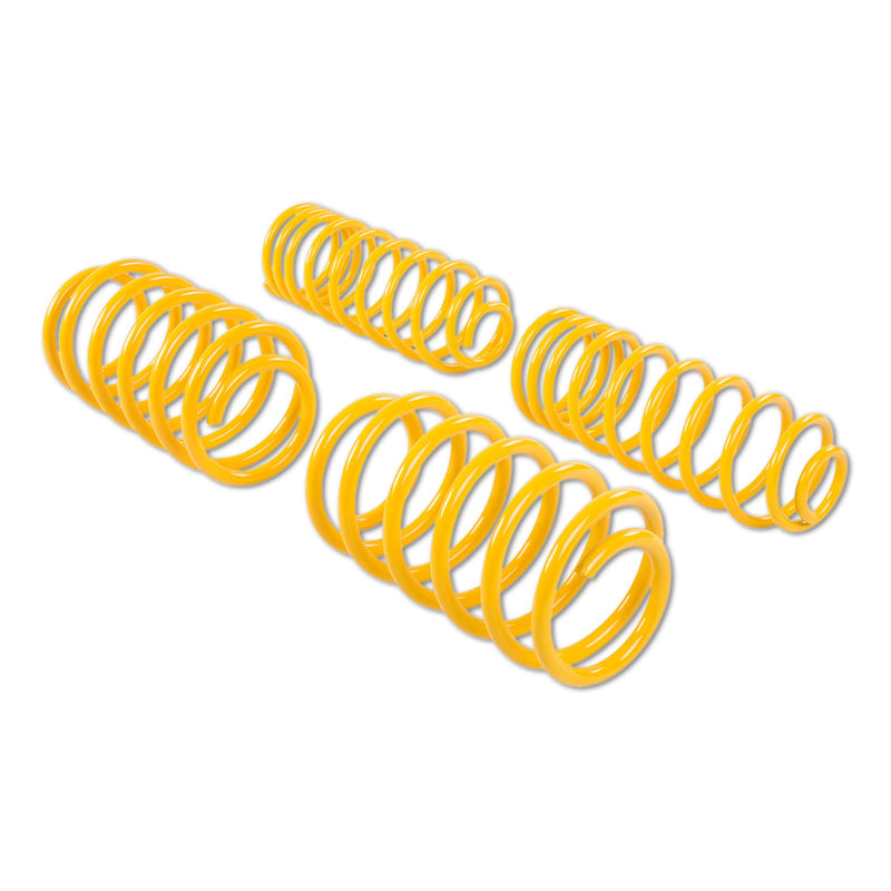 ST Sænkningssæt VW New Beetle (9C) – produktbillede 4